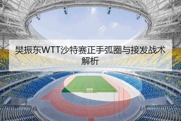 樊振东WTT沙特赛正手弧圈与接发战术解析