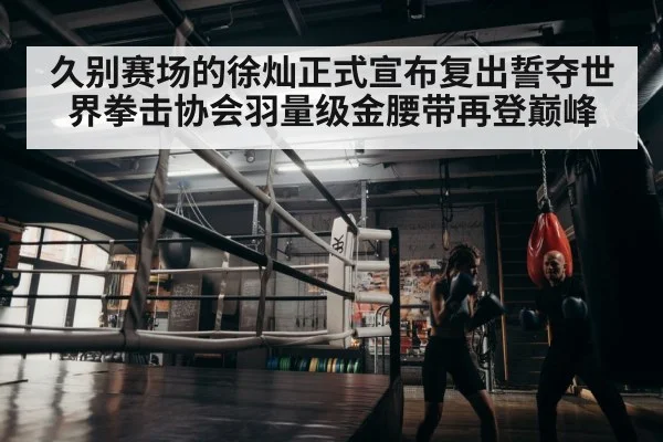 久别赛场的徐灿正式宣布复出誓夺世界拳击协会羽量级金腰带再登巅峰
